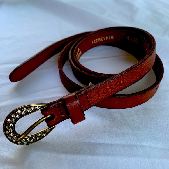 Fossil belt - Picture 1 of 1